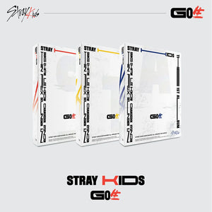 stray kids go live album wooksy