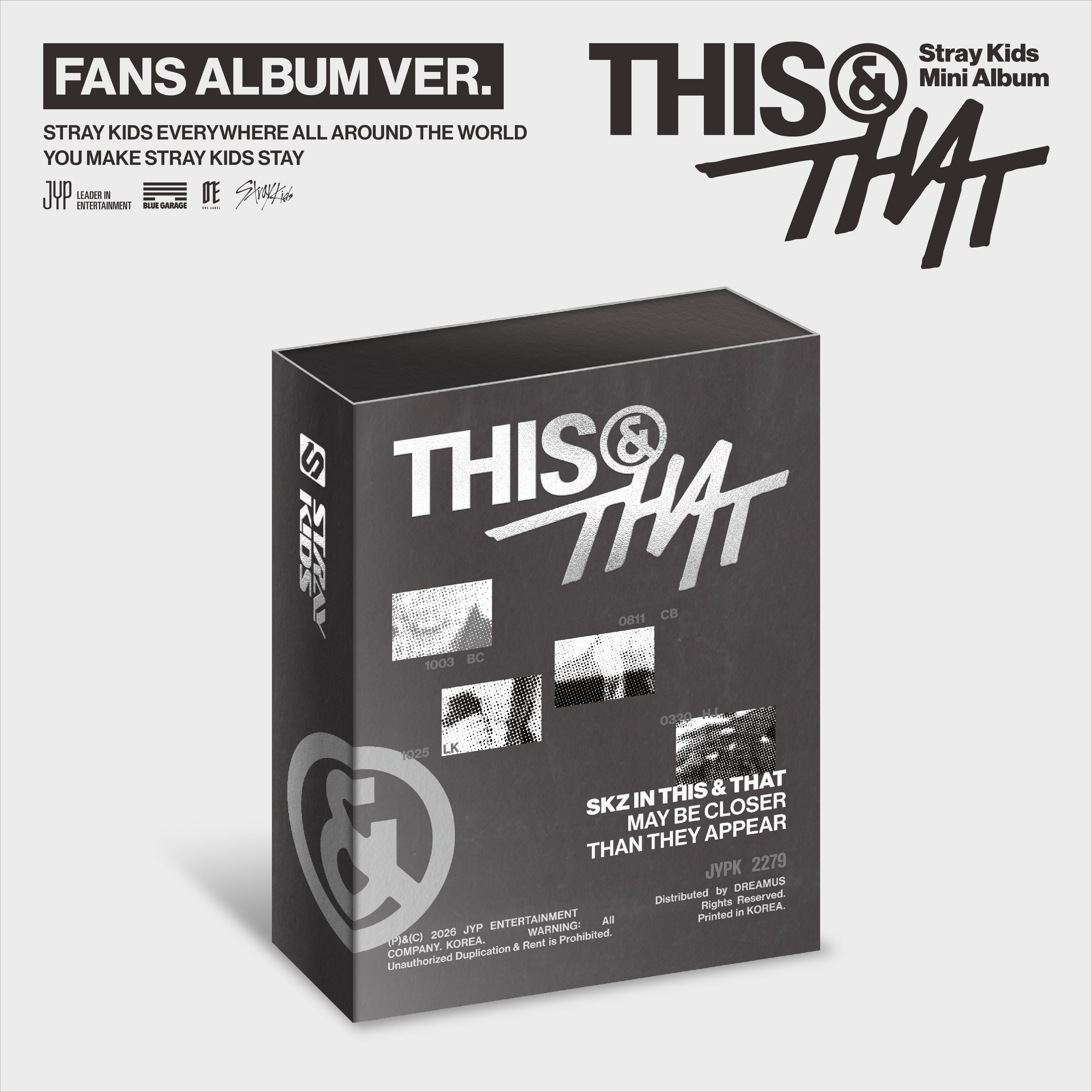 Stray Kids - THIS & THAT (FANS ALBUM ver.) – Wooksy