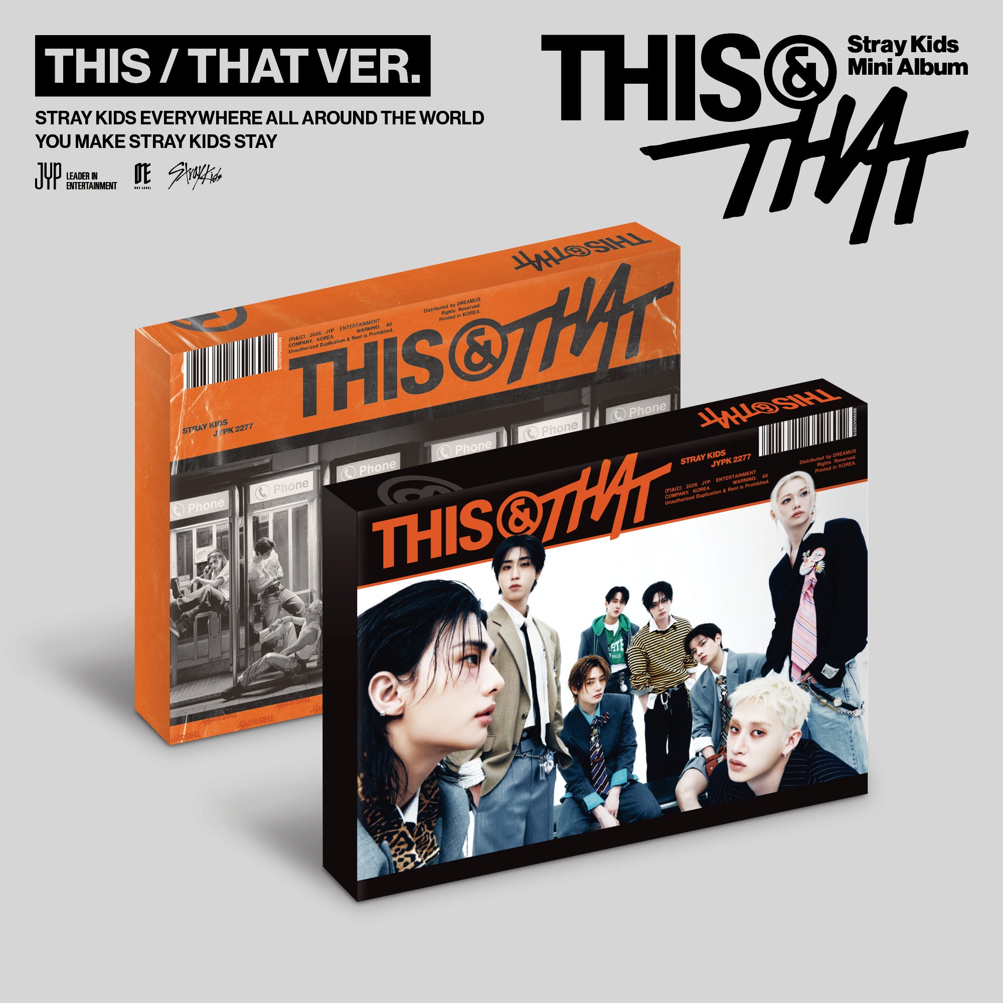 Stray Kids - THIS & THAT – Wooksy