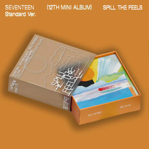 seventeen spill the feels album wooksy