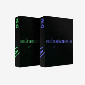 stray kids noeasy k-pop album wooksy