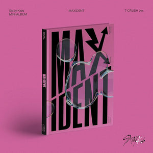 stray kids maxident album wooksy