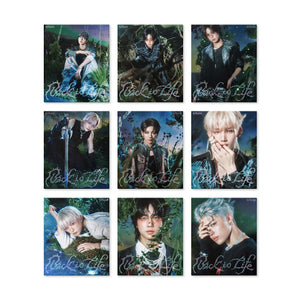 &team back to life roar version wooksy album